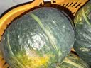 京鲜生 内蒙贝贝南瓜净3斤(粉糯瓜)中果300+蔬菜辅食板栗味源头直发 实拍图