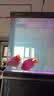 森森（SUNSUN）大型鱼缸底过滤水族箱客厅家用落地玻璃生态金鱼缸 【实时温显+灯控】纳米灰 1.2米长35cm宽 实拍图