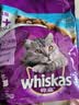 伟嘉成猫猫粮全价粮1.3kg海洋鱼味夹心粮布偶蓝猫橘猫 实拍图