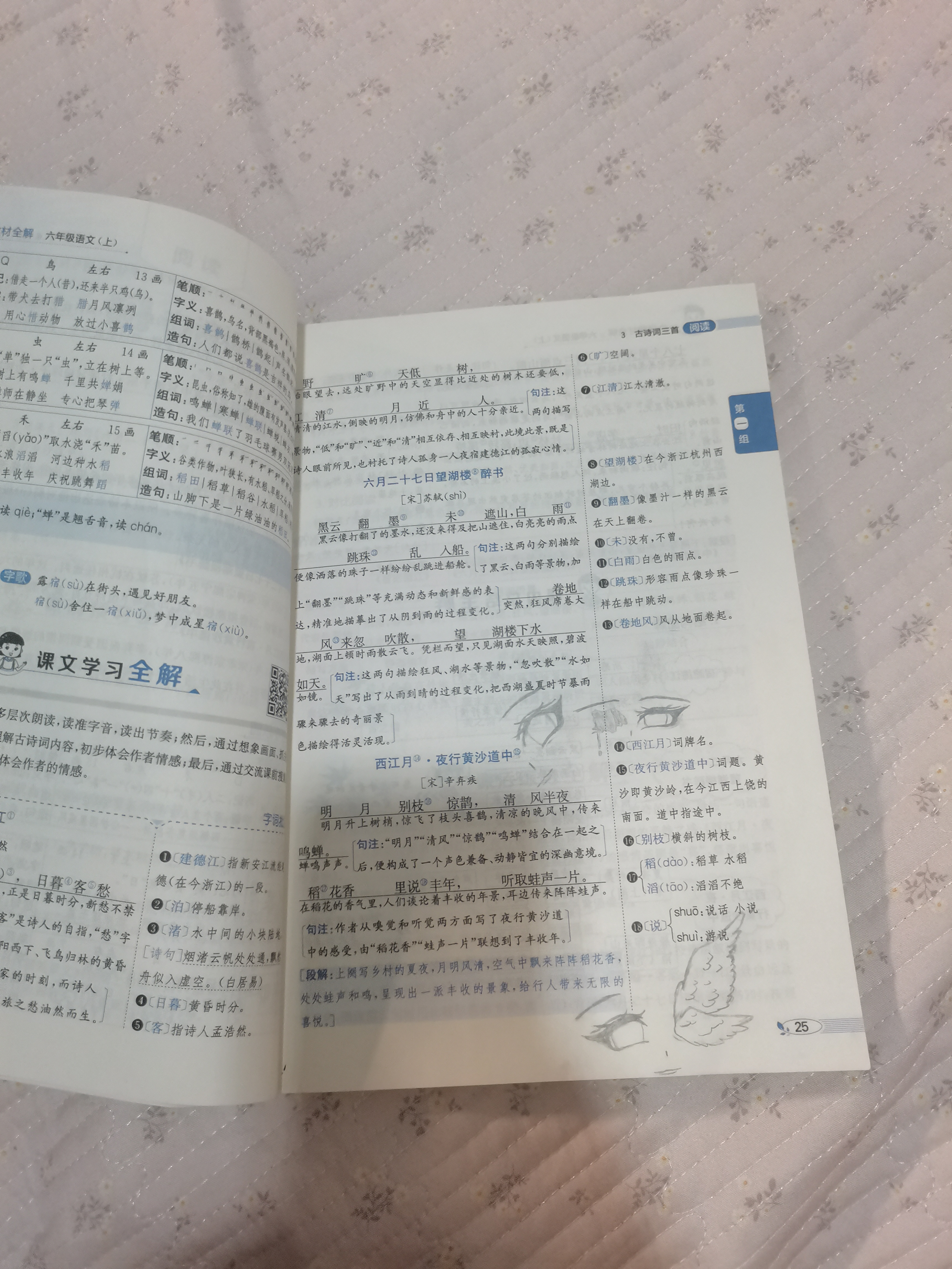 2026秋 小学教材全解 六年级语文上 薛金星 教材全解课堂笔记 教材同步扫码课堂 开学季 晒单实拍图