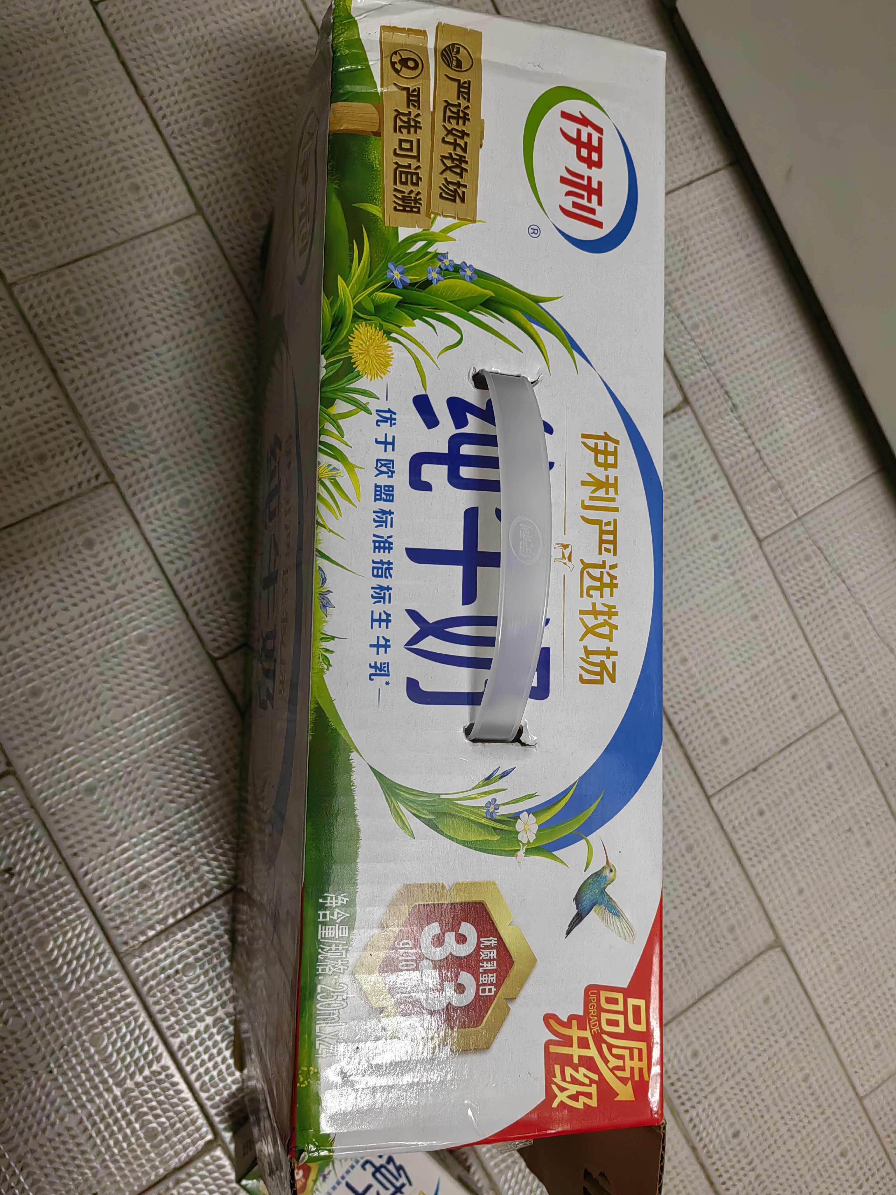 伊利6月纯牛奶250ml*24盒整箱牛奶营养早餐全脂牛奶成人纯奶 6月纯牛奶250ml*24盒 实拍图
