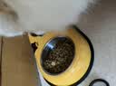 伯纳天纯【犬粮-赠品】全系列犬粮赠品试吃50g*1 【犬粮】舒纯PRO 三文鱼磷虾50g 实拍图