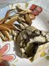 【活蟹】隆上记大闸蟹鲜活现货 全母2.8-3.1两8只 螃蟹鲜活礼盒生鲜去绳足重 实拍图