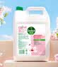 滴露（Dettol）洗手液补充装大桶消毒滋润5L 儿童家庭装杀菌护手 实拍图