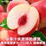 京地达桃子金秋红蜜江苏水蜜桃脆桃新鲜水果4斤单果200g+源头直发 实拍图
