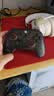 盖世小鸡（GAMESIR）启明星2无线游戏手柄switch手柄 手机安卓苹果PC电脑steam蓝牙有线影之刃零双人成行平板NS2pro 实拍图