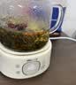 小熊（Bear）全玻璃养生壶0胶水 煮茶壶 恒温壶 炖煮花茶壶 家用烧水壶 1.5L煮水壶 YSH-H15L2 实拍图