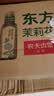 农夫山泉东方树叶茉莉花茶500ml*15瓶无糖茶饮料0糖0脂0卡整箱装 实拍图