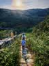 探路者（TOREAD）喀纳登山杖碳纤维伸缩手杖户外徒步超轻便携爬山装备拐杖 银色 实拍图