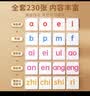 奕思瑞拼音卡片幼小衔接拼音拼读训练儿童识字卡片3-6岁认字大卡一年级 实拍图