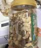 三只松鼠每日坚果乳礼盒1260g 饮料核桃夏威夷果零食礼包团购送礼出游 实拍图