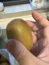 佳沛（zespri）金奇异果25-27粒原箱特大果124-146g猕猴桃中秋节礼品送水果礼盒 实拍图