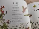 蝴蝶·豌豆花 中国经典童诗绘本系列小学生课外读物学校重点推荐清华附小推荐、冰心儿童图书奖精装非注音儿童语言韵律3-6岁  实拍图