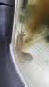 鲜活皮皮虾300g（约10-18只） 实拍图