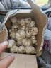 金乡大蒜头2026年干蒜大蒜优质紫白皮干货农家自种 【大蒜单果4.5厘米】净重2.7斤 实拍图