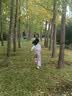 小熊（Bear）全玻璃养生壶 纯玻璃多功能恒温烧水壶煮水壶 办公室轻音炖煮茶壶 1L YSH-J10D1 实拍图