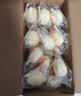 港荣蒸蛋糕奶香900g蛋糕小面包早餐零食饼干西式糕点甜品中秋礼品盒 实拍图