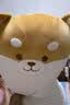 名创优品（MINISO）柴犬系列扭扭长条抱枕玩偶侧睡夹腿专用男毛绒抱枕沙发靠枕中秋节 实拍图