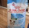 皇家狗粮 幼犬狗粮 宠物 小型犬 MIJ31 全价犬粮 2-10月 2KG 实拍图
