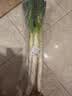 大葱约1kg 实拍图