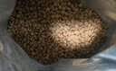 朗亲猫粮冻干四拼成猫专用鸭肉鱼肉英短美短通用型猫干粮5kg 实拍图