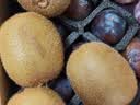 佳沛（zespri）新西兰金奇异果12粒特大果124-146g猕猴桃中秋节礼品送水果礼盒 实拍图