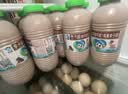 李子园【成毅代言】甜牛奶饮品低脂低糖朱古力奶225ml*20瓶整箱营养早餐 实拍图