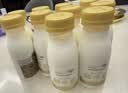 每日鲜语鲜牛奶 3.6g全脂211ml*6 家庭必备 巴氏杀菌乳 低温奶 实拍图