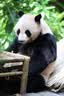 佳能（Canon）【官方旗舰】R62微单相机 4K视频 r62佳能相机 风光人像专业摄影器材 r6二代全画幅机身 学生相机 实拍图