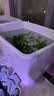 佳帮手收纳箱特大号塑料衣物衣服玩具收纳整理箱子车载储物箱58L 实拍图