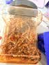 旅大壹味香辣鳗鱼丝500g 大连特产海鲜零食鱼干下饭菜追剧小吃宿舍食品 实拍图