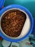 皇家猫粮 成猫猫粮 营养均衡 F32 通用粮 1-7岁 4.5KG 实拍图