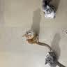 CFA赛级逗猫棒猫咪玩具长杆羽毛替换头耐抓咬猫玩具用品自嗨解闷 CFA赛级长杆逗猫棒-木杆弹簧款 实拍图