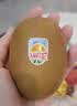佳沛（zespri）新西兰金奇异果12粒特大果124-146g猕猴桃中秋节礼品送水果礼盒 实拍图