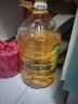 金龙鱼 食用油 非转基因 物理压榨玉米油6.18L（蕴含植物甾醇） 实拍图