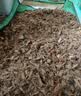 史丹利粗椰壳500g 砖椰砖营养土进口脱盐椰糠土兰花植料月季养花通用型 实拍图