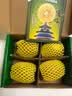佳沛（zespri）新西兰金奇异果4粒103-114g猕猴桃源头直发中秋节礼品送水果礼盒 实拍图