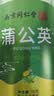 南京同仁堂正宗蒲公英叶茶70g特级野生婆婆丁茶养生茶中药材花草茶清热 实拍图
