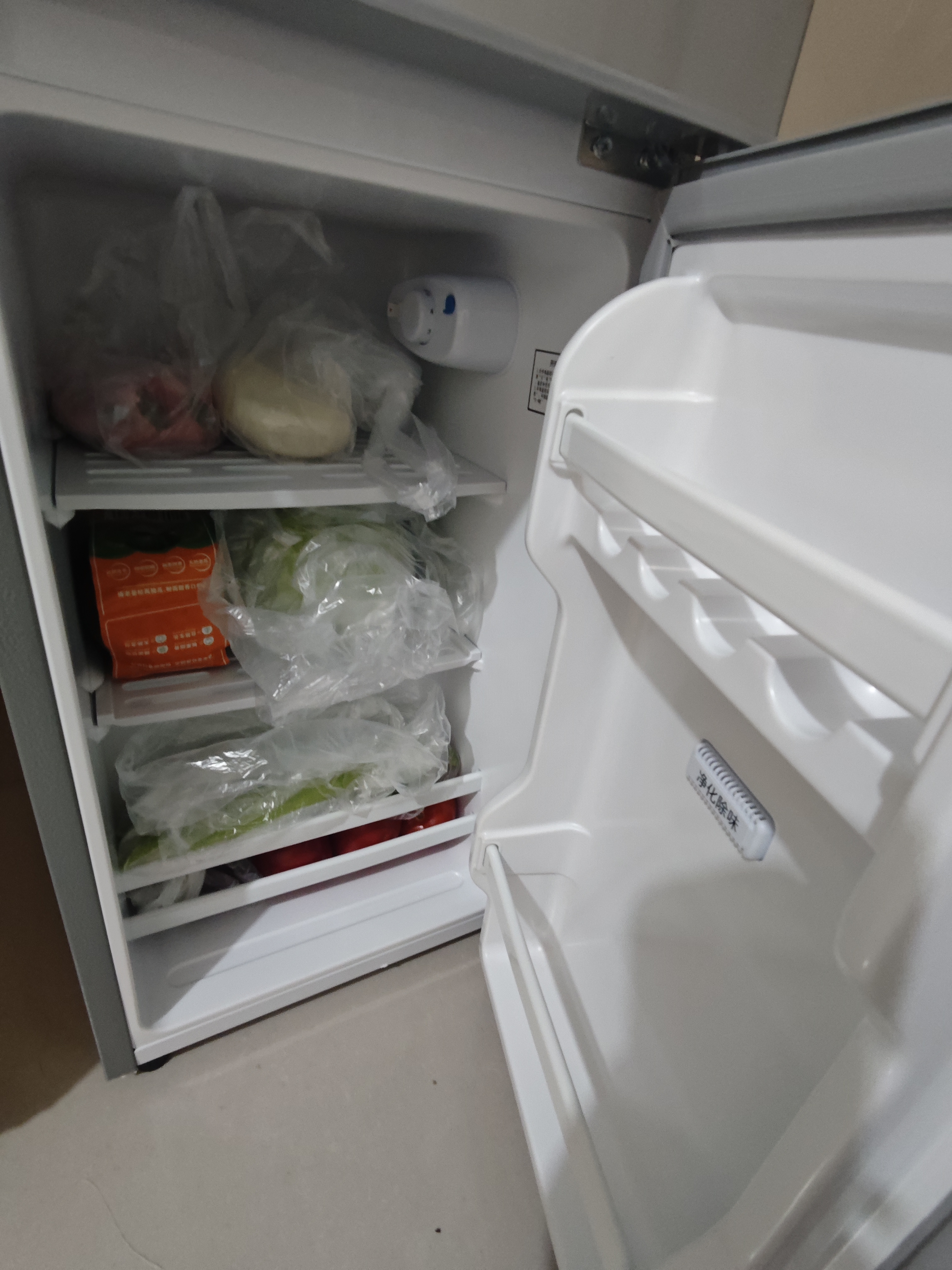 志高双门冰箱小型出租房宿舍双开门冷藏冷冻一级能效家用大容量办公室电冰箱二门微霜 【净化去味】138升级款/银/高效保鲜/铜管速冷 实拍图