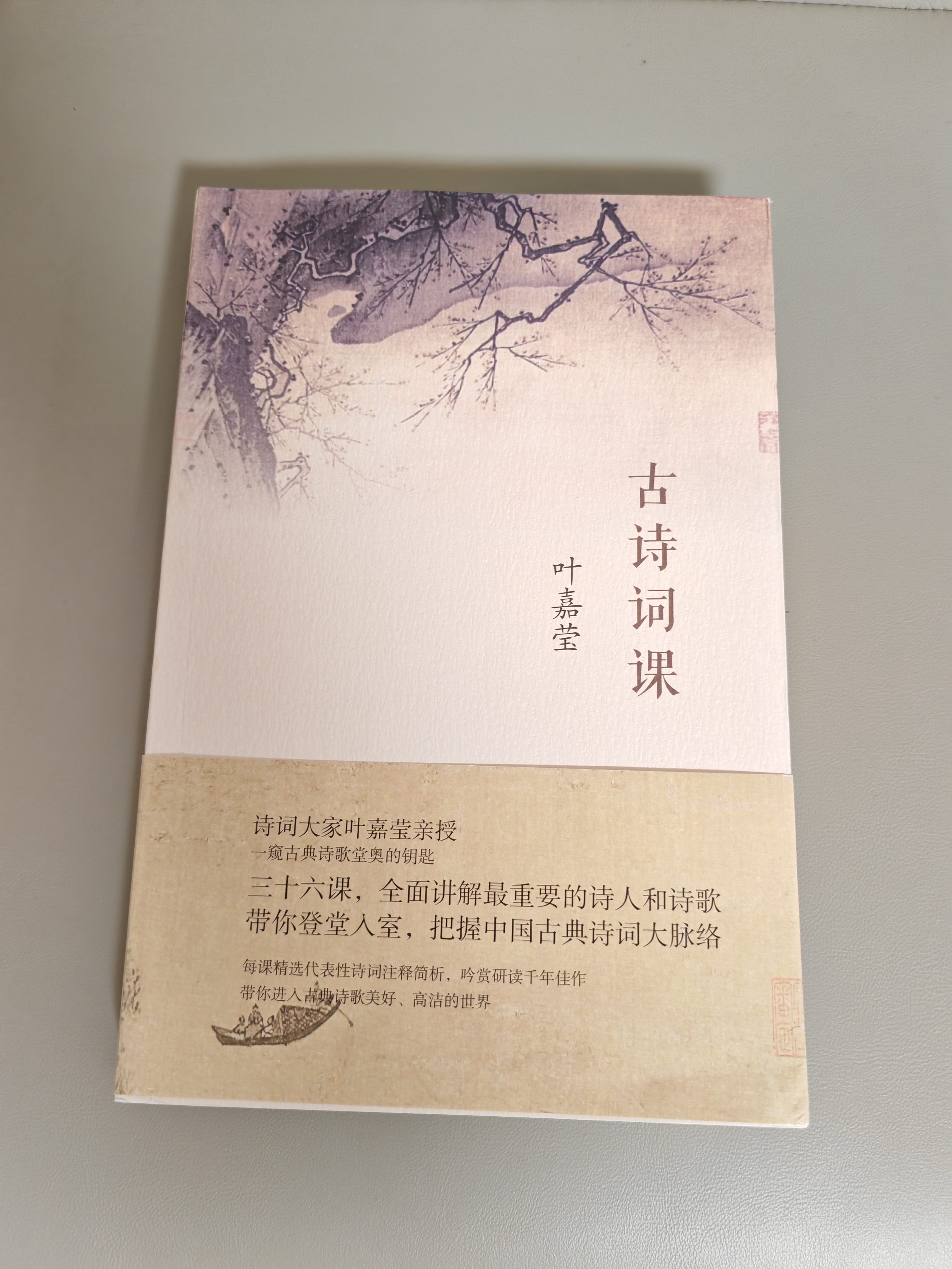 古诗词课 叶嘉莹讲古诗词 樊登读书会推荐 叶嘉莹先生全面讲解中国古诗词 文学诗歌词曲中国古诗词 小说 实拍图