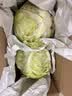 山东寿光新鲜青甘蓝卷心菜新鲜包菜青绿卷心菜手撕包菜爆炒 寿光甘蓝3斤（净重2.7斤） 实拍图