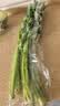 香芹约300g 实拍图