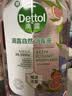 滴露（Dettol）衣物消毒液自然香氛洗衣除菌液 除螨48h留香1000ml*1灭活白念珠菌 实拍图