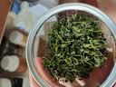 南同四海南京同仁堂头采酸枣芽茶搭生野酸枣芽助眠浅多梦眠心不宁神泡水喝 实拍图