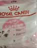 皇家猫粮 幼猫猫粮K36-适用于12月龄50g*3 实拍图