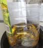 金龙鱼 食用油 非转基因 物理压榨玉米油6.18L（蕴含植物甾醇） 实拍图