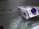 蒙牛现代牧场鲜牛奶960ml*4瓶 日期包新鲜 实拍图