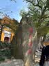 诺泰医用护腰带腰椎间盘突出腰肌劳损医用（腰部）固定带3代 实拍图