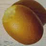 佳沛（zespri）绿奇异果特大果22-25个原箱装单果约135-176g 猕猴桃 水果 实拍图