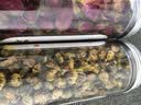 印象堂茶叶新茶胎菊菊花茶礼品玫瑰花茶组合装花草茶2罐装130g养生茶 实拍图